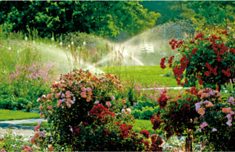 Despre Cosmeticele Sothys – inverviu cu Anca Remy, Area Manager Eastern and Southern Europe 15 Jardins fleurs