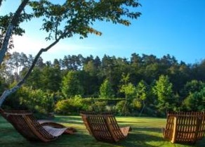 Despre Cosmeticele Sothys – inverviu cu Anca Remy, Area Manager Eastern and Southern Europe 14 Jardins chaises