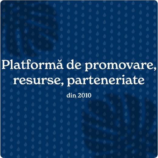 RO Banner Platforma de promovare resurse parteneriate din 2010 v2
