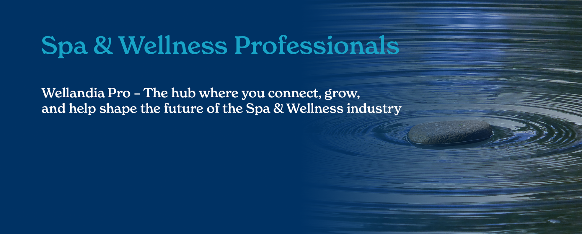 Spa & Wellness Professionals